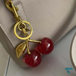 چارم بگ کوچ  گیلاس سیم اورجینالCoach-8438-L