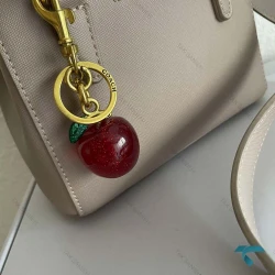 چارم بگ کوچ سیب سیم اورجینال Coach-8439-L